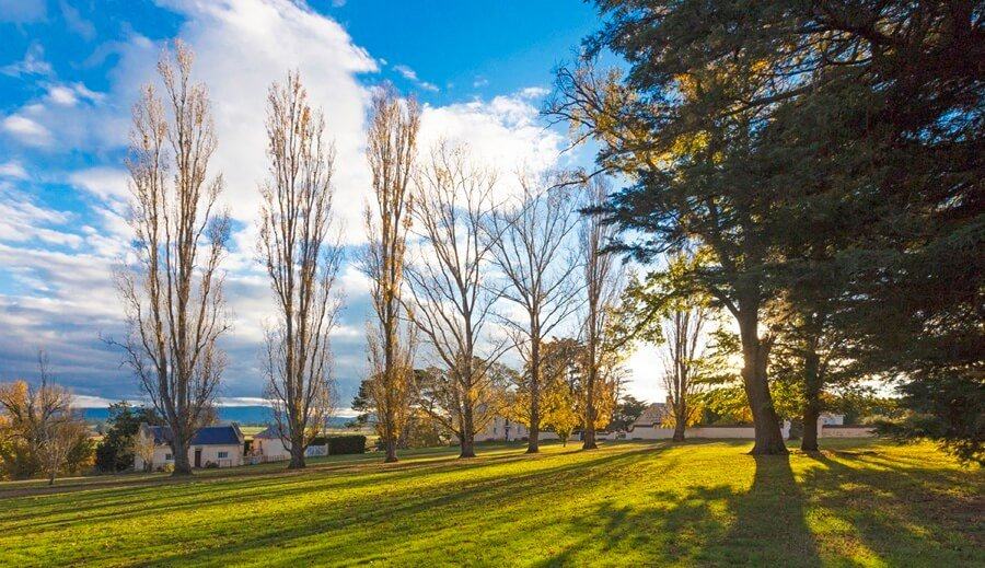 Parkland in Longford, Northern Midlands